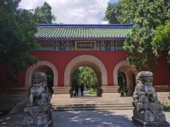 -灵谷景区