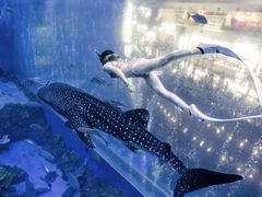 -成都浩海立方海洋公园