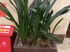 -顺峰·粤菜海鲜·早茶自助(阜成店)