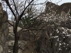 -乌龙峡谷景区