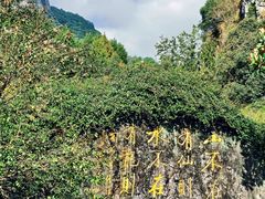 -黄山翡翠谷景区