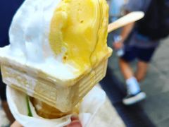 -柠檬车露(卖草地店)