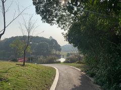 -美兰湖景区