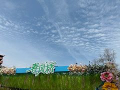 -合肥融创乐园