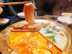 -周师兄大刀腰片火锅(洪崖洞旗舰店)