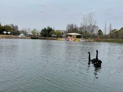 -太阳岛度假酒店