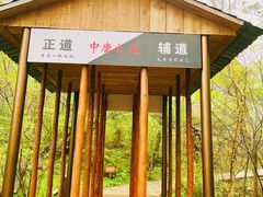 -青峰峡国家森林公园