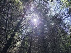 -芦芽山旅游度假区
