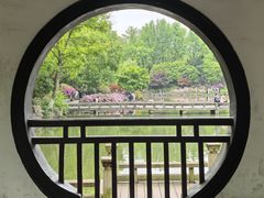 -红梅公园