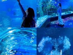 -顺德南宏海立方海洋公园