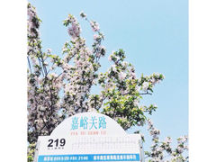 八大关景区-八大关景区