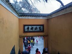 -普陀山风景区-佛顶山