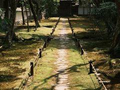 -西芳寺(苔寺)