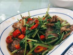 香菜卤牛肉-刘氏三和面馆