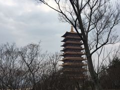 -牛首山文化旅游区