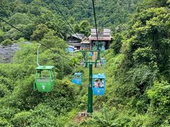 -野象谷景区