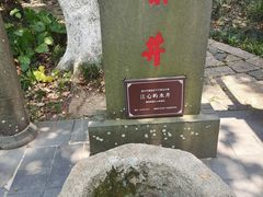 -江心屿景区