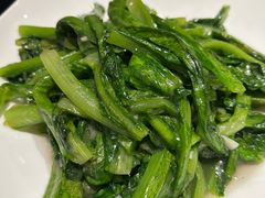 -高第街56号餐厅(泰安万达店)
