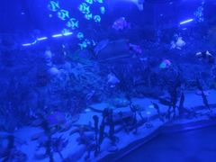 泰迪熊博物馆-济州岛泰迪熊博物馆