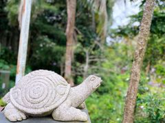 -亚龙湾热带天堂森林公园
