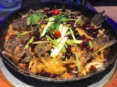 -老板恋上鱼(恒隆广场店)