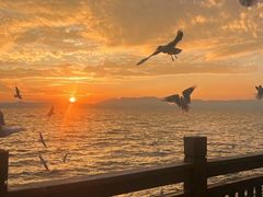 -呈贡滇池生态湿地公园