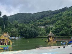 -西双版纳原始森林公园
