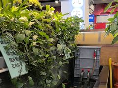 -洞庭家宴·头牌甲鱼(广渠门店)