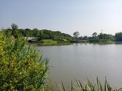 -昆山城市生态森林公园