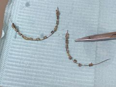 -安柏口腔(海珠世纪云顶店)