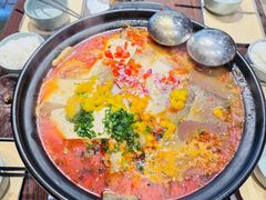 -酒肆浅葱·特色菜馆(卓悦intown店)