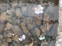 -天芳悦潭度假村温泉