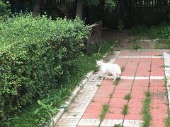 -白渔泡湿地公园