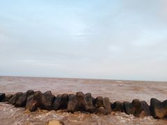 -南汇嘴观海公园