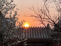 -北京和园国际青年客栈