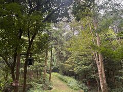 -黄公望隐居地