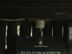 -怀托摩萤火虫洞