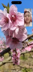 -MOVAN  HAIR莫凡匠人发型屋