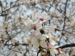 -南京市江宁方山
