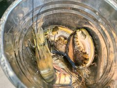 -一方渔歌蒸汽海鲜自助(文化路万达广场店)