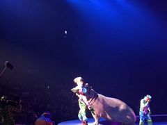 -广州长隆国际大马戏