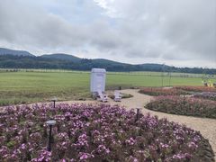 -济州森林小火车生态公园