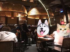 -哥老官重庆美蛙鱼头(西湖银泰十一哥店)