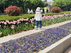 -石家庄市植物园