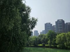 -长白岛森林公园