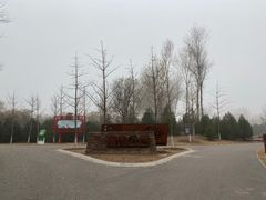 -东郊湿地公园