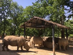 -西安秦岭野生动物园