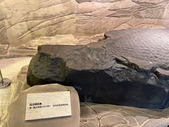 -白鹤梁水下博物馆