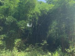 -青城两河漂流