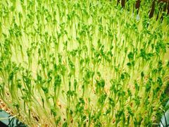 禾田下生态餐饮-禾田下生态餐厅(华天城总店)